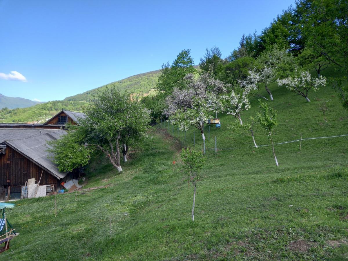Casa Geanina לינה וארוחת בוקר *